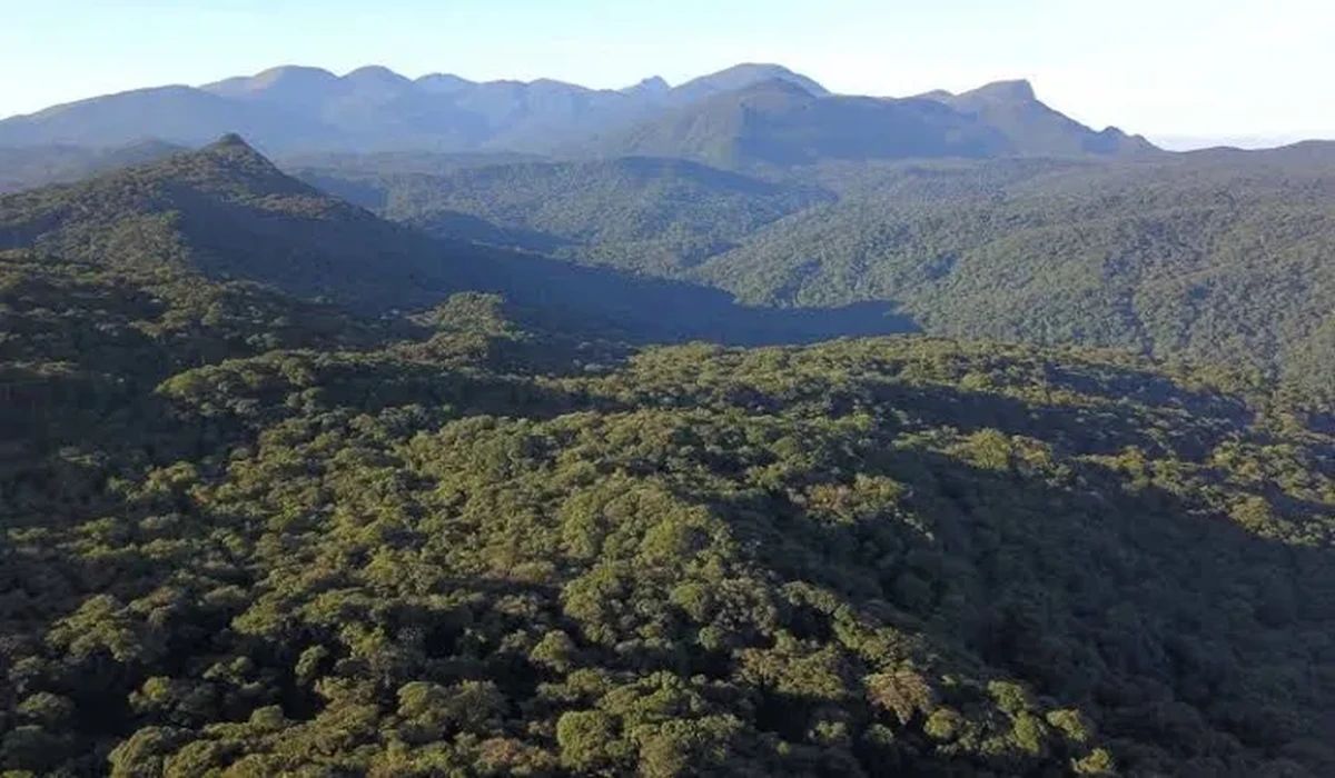 Nova regra do CONAMA altera licenciamento ambiental próximo a Unidades de Conservação