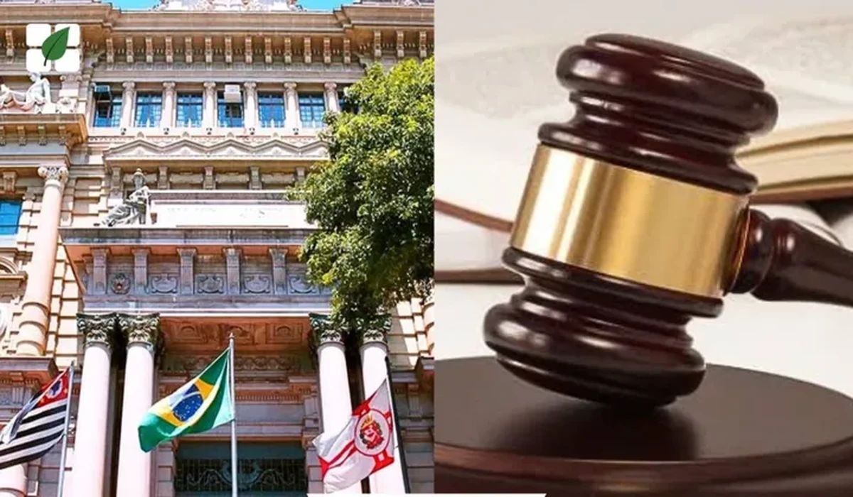 TJ/SP autoriza cumulação de honorários em execução e embargos