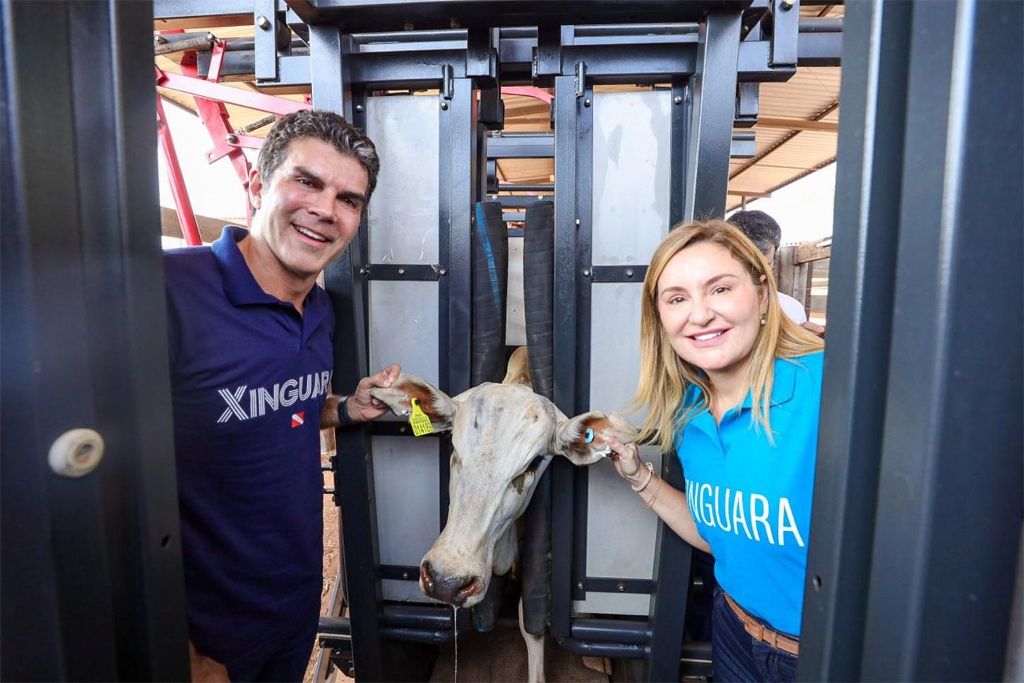 Associação entra na Justiça contra sistema de rastreabilidade bovina no Pará