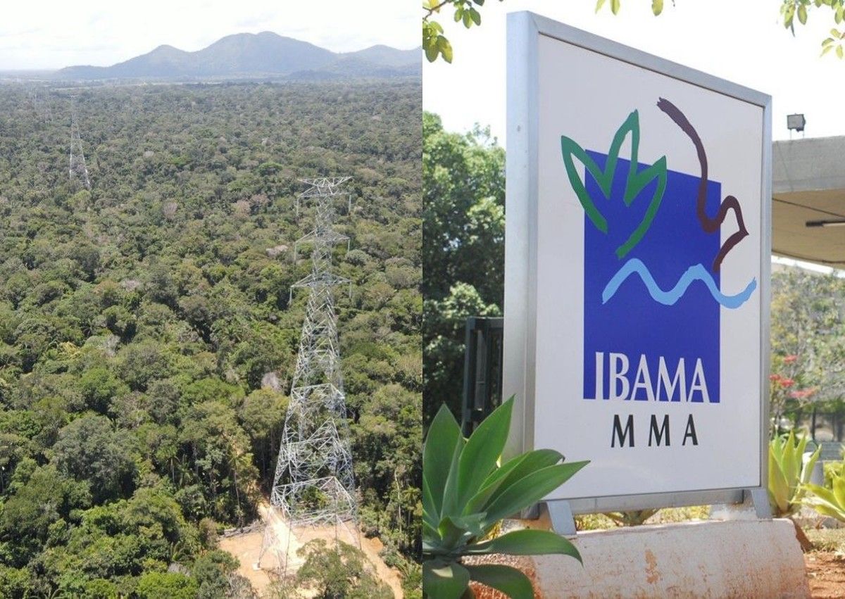 Ibama emite a maior quantidade de licenças ambientais da última década