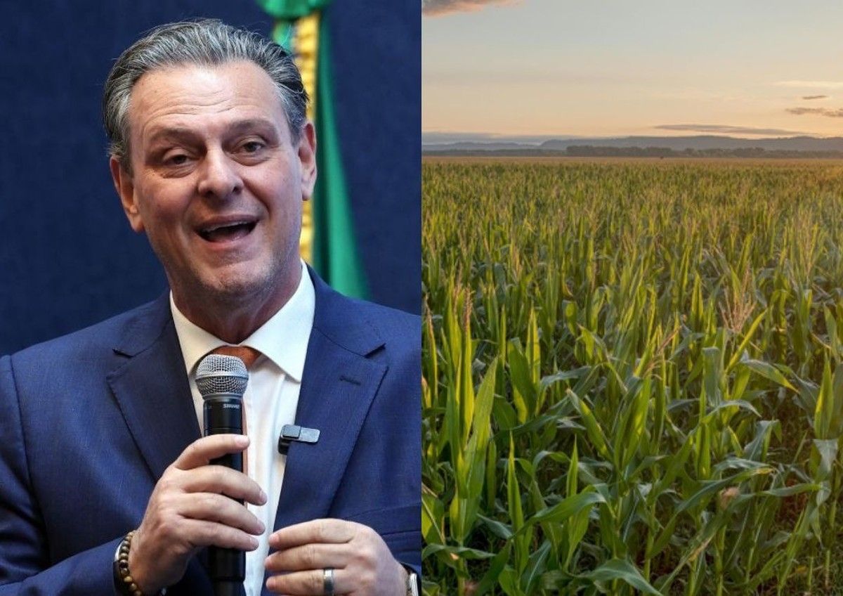 Agropecuária cresce 11,7% e expõe lacunas jurídicas que ameaçam R$ 775 bilhões em ativos rurais