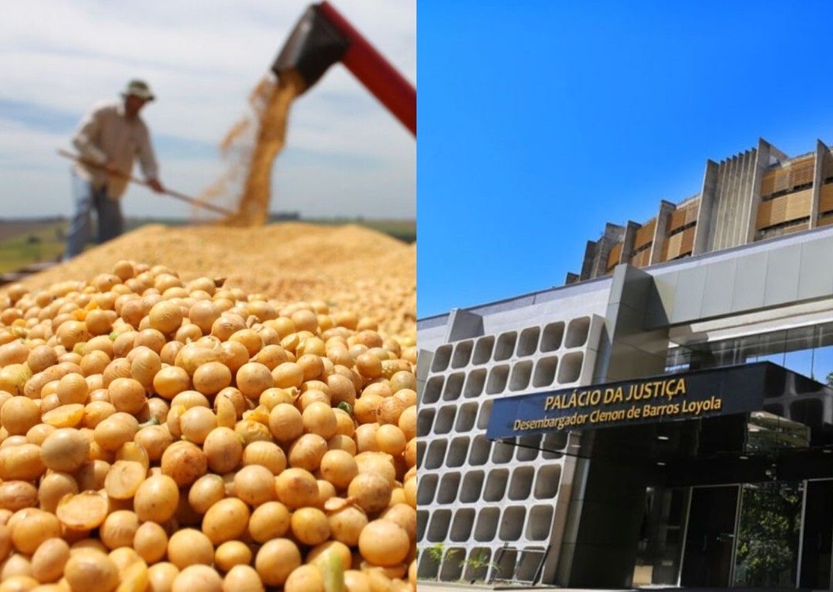 TJGO reconhece essencialidade e veda apreensão de grãos na recuperação judicial de produtores rurais