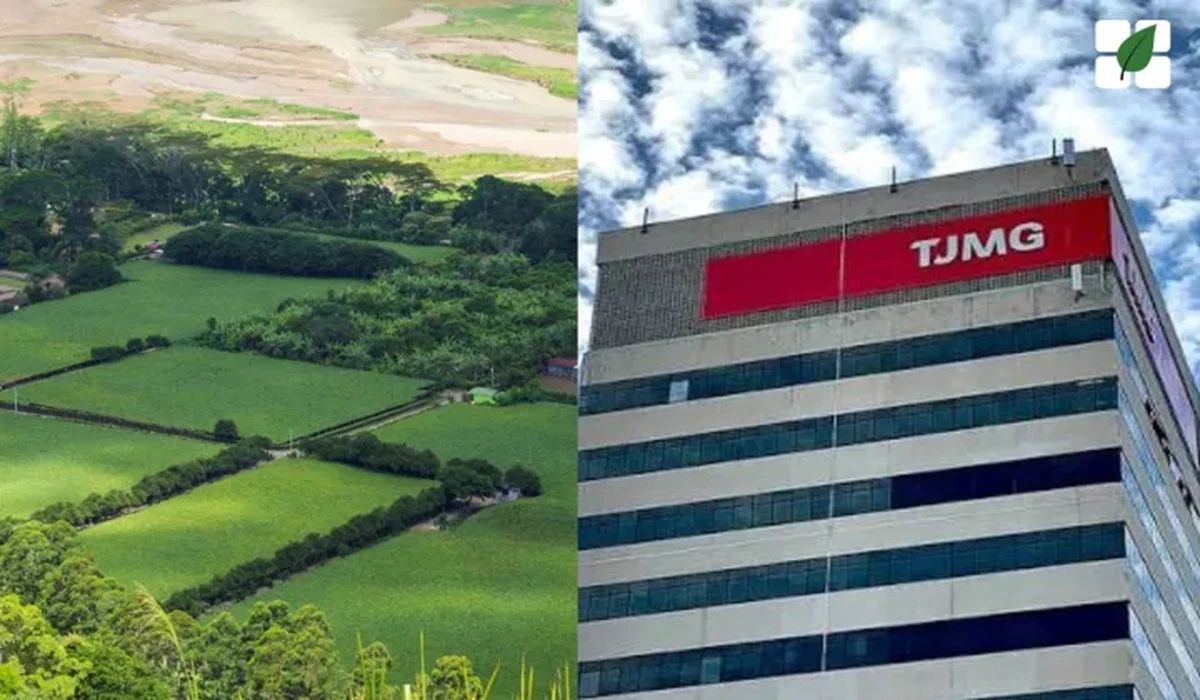 TJMG mantém nulidade de aquisição rural inferior ao módulo mínimo e proíbe alienações irregulares