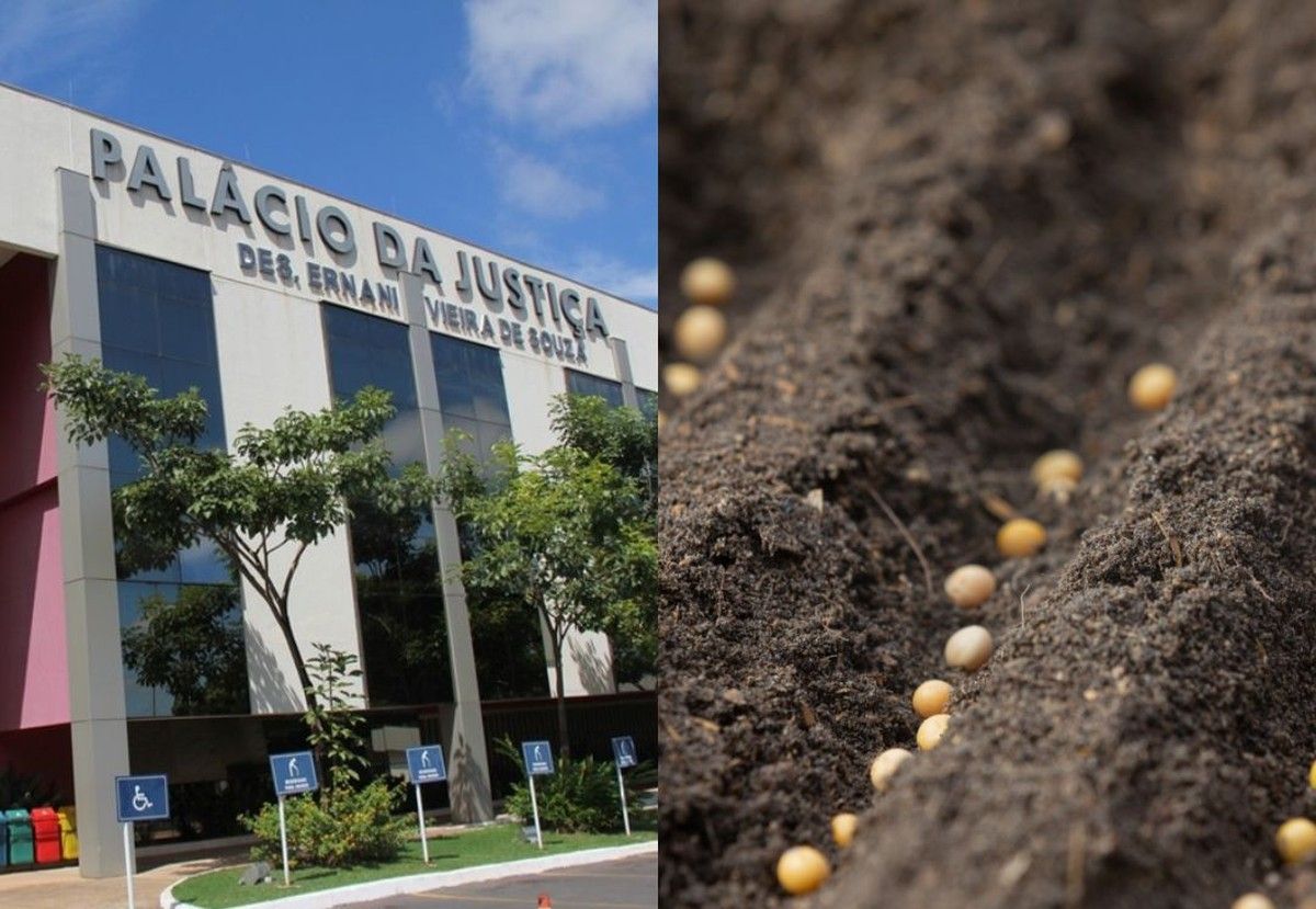 TJMT nega indenização a produtor rural por baixa germinação de sementes de soja