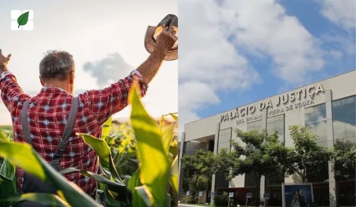 TJMT mantém inversão do ônus da prova em favor de produtor rural contra seguradora