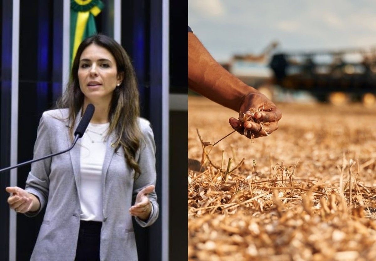 PL 5686/25 proíbe execução extrajudicial de hipoteca rural após 2 safras frustradas por eventos climáticos