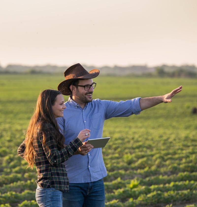 Esposa do produtor rural fora da recuperação judicial: entenda por que essa decisão favorece os credores