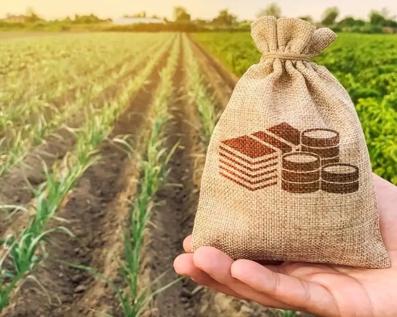 Como a Reforma Tributária impacta o setor de combustíveis: análise da Lei Complementar nº 214/2025