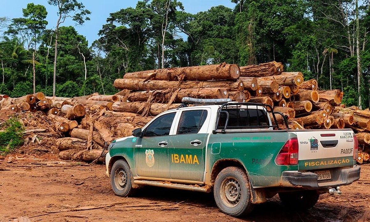 Ibama aplica R$ 15 milhões em multas e demole estruturas de serrarias no Pará por descumprimento de embargo