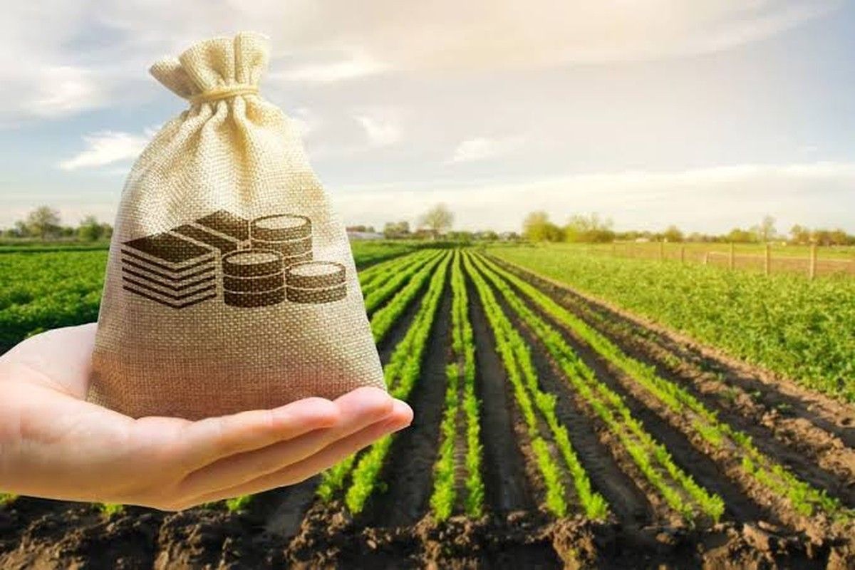 Seguro Rural: apenas 14% da Área Cultivada no Brasil está protegida